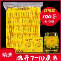 2025年金丝皇菊新货上市一包100朵独立小包批发零售