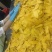 芒果蜜饯3.1万一吨