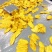 芒果蜜饯3.1万一吨