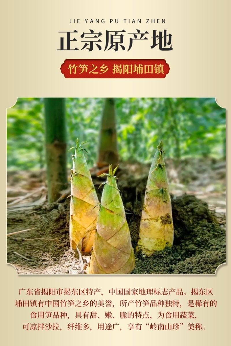 埔田清水笋