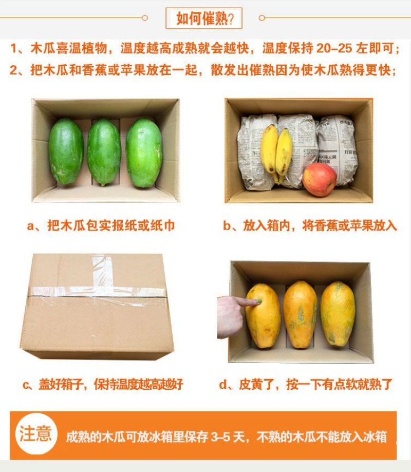 现摘雷州冰糖红心木瓜牛奶水果新鲜整箱欢迎订购