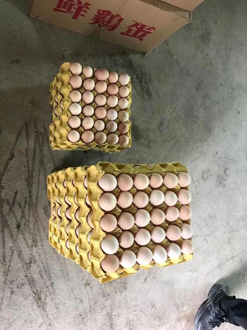 江西精品鸡蛋一手货源大量供应对接批发市场商超