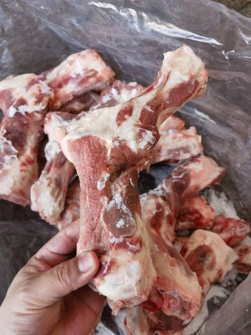 双节前腿骨，引流产品，
