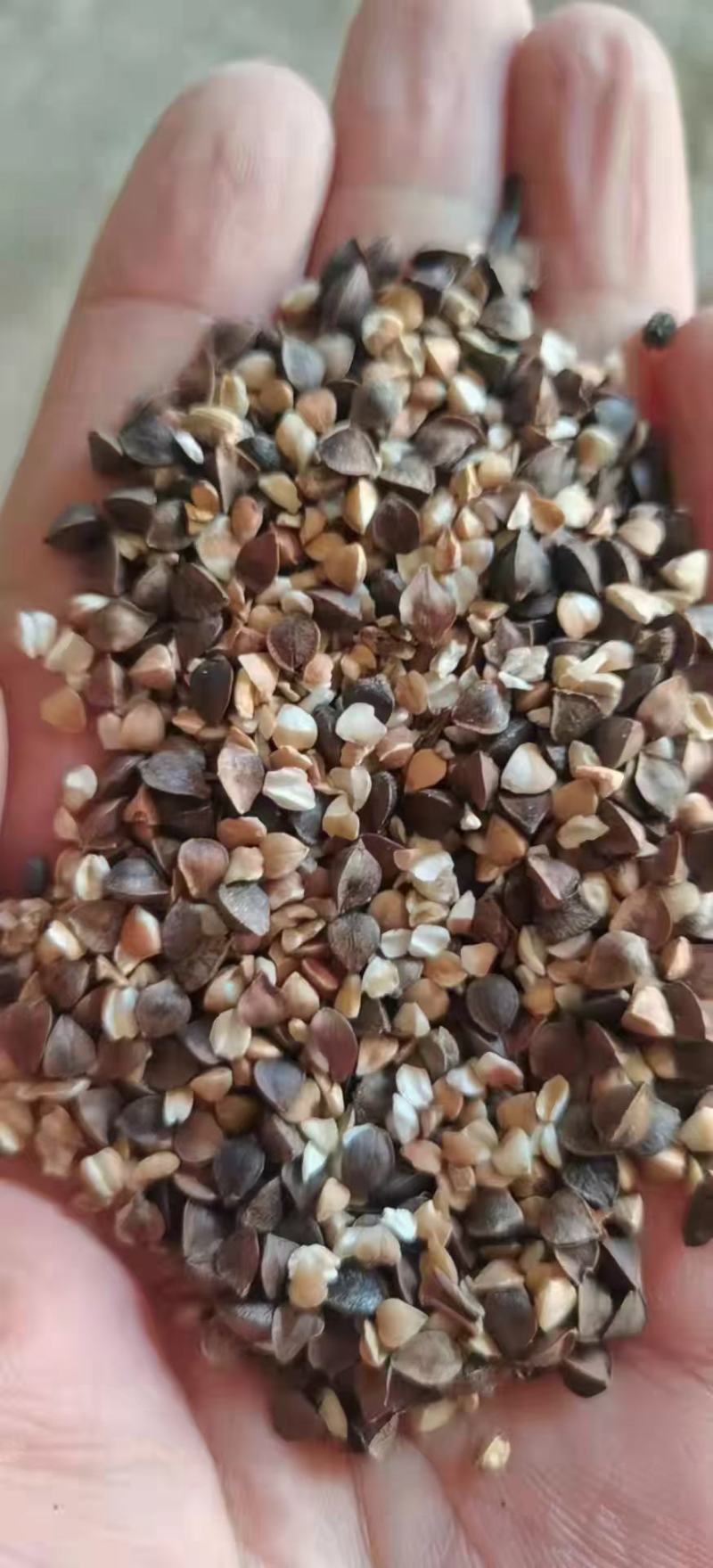 荞麦碎，水分11，蛋白18到20，灰分1