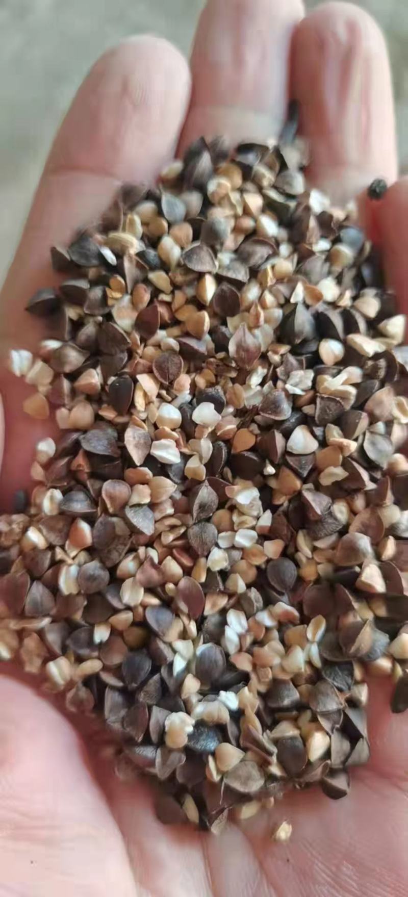 荞麦碎，水分11，蛋白18到20，灰分1