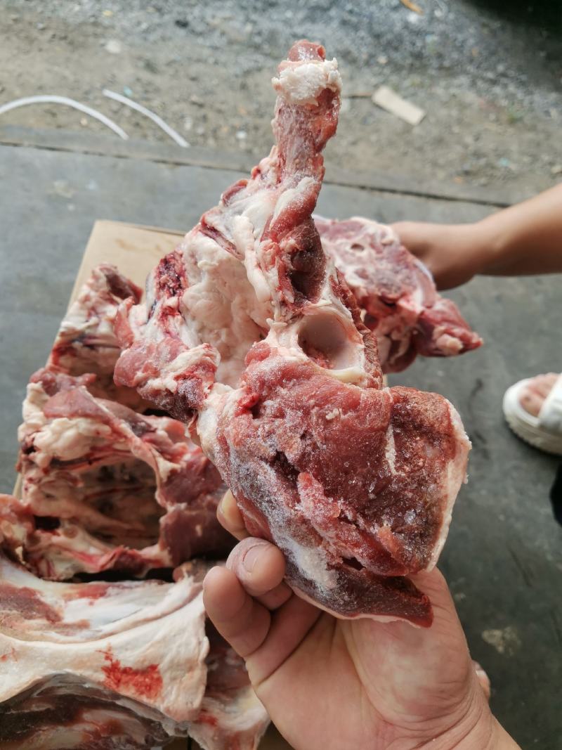 加肉羔羊胯骨，每件抄码，可加工50斤一件，价格不高