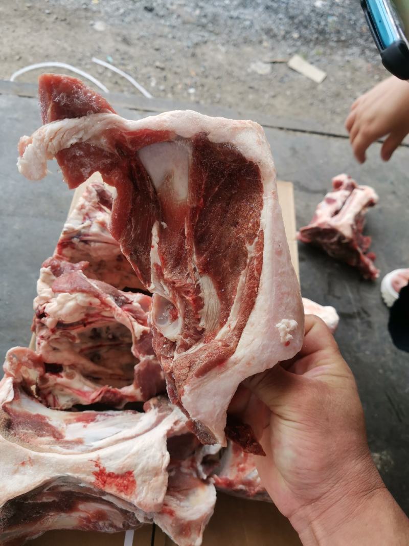 加肉羔羊胯骨，每件抄码，可加工50斤一件，价格不高