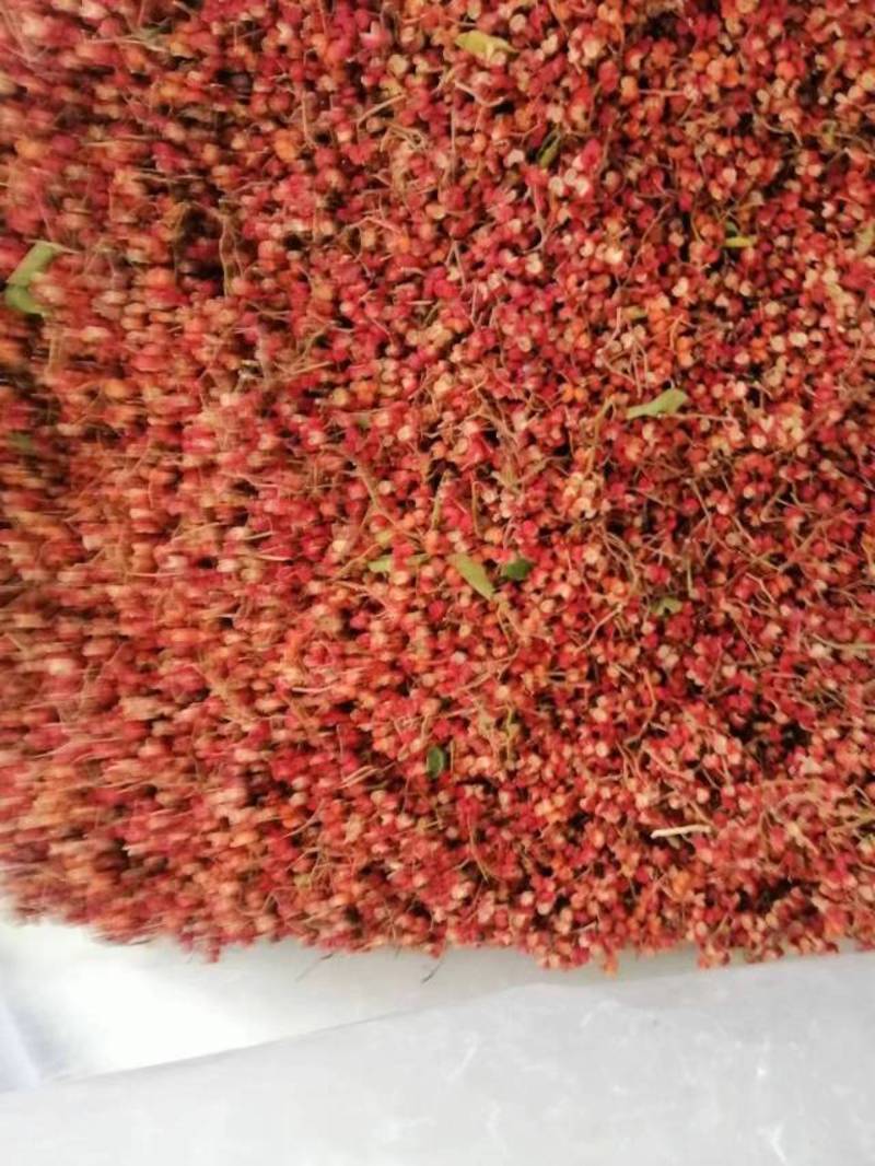 山西大红袍花椒，麻、香、红、2022新鲜干货，大量供应