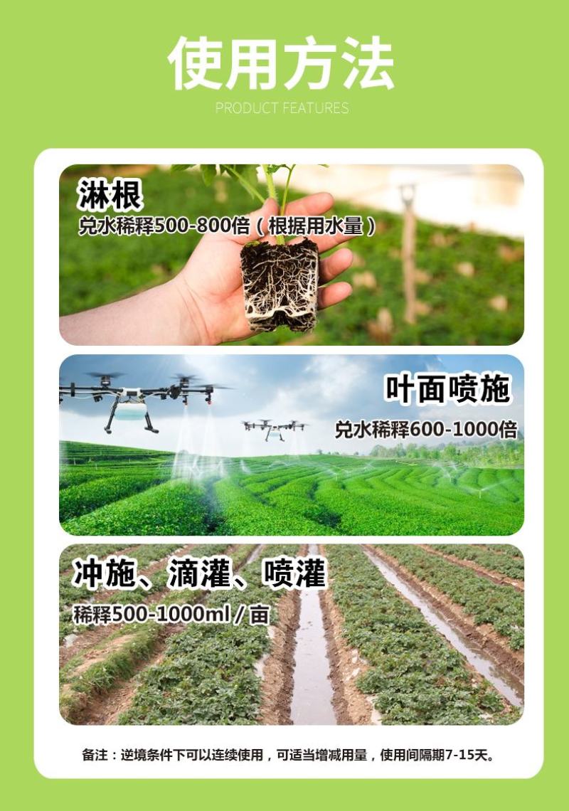 农用氨基酸水溶肥叶面肥多肽氨基酸功能肥厂家批发