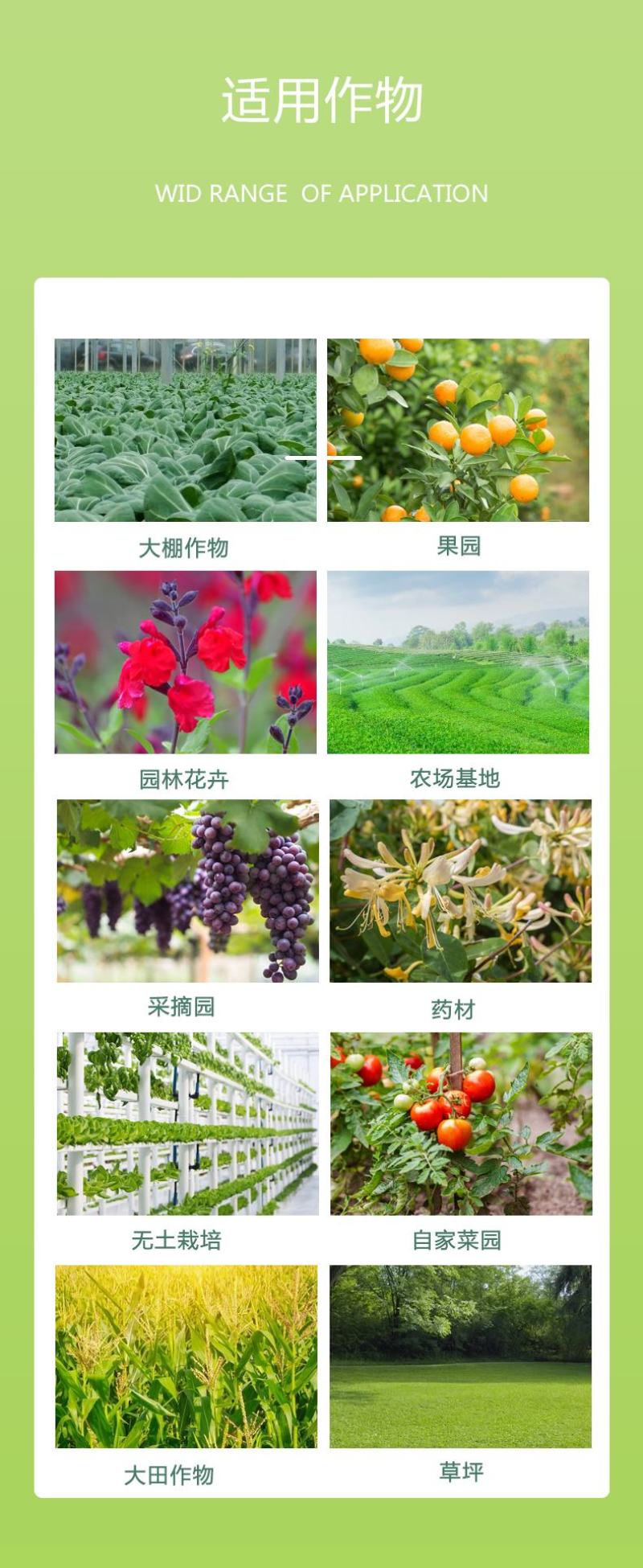 农用氨基酸水溶肥叶面肥多肽氨基酸功能肥厂家批发