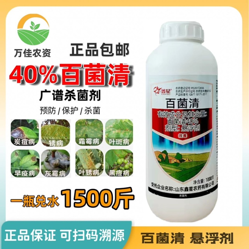 百菌清悬浮剂40%水剂柑橘果树蔬菜花卉早疫病杀菌剂