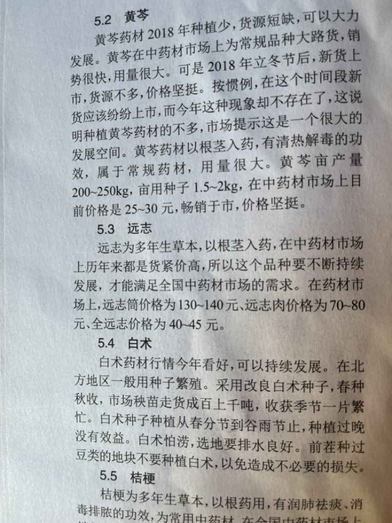 板蓝根种子，品质优良，长期出货，物流方便，欢迎下单