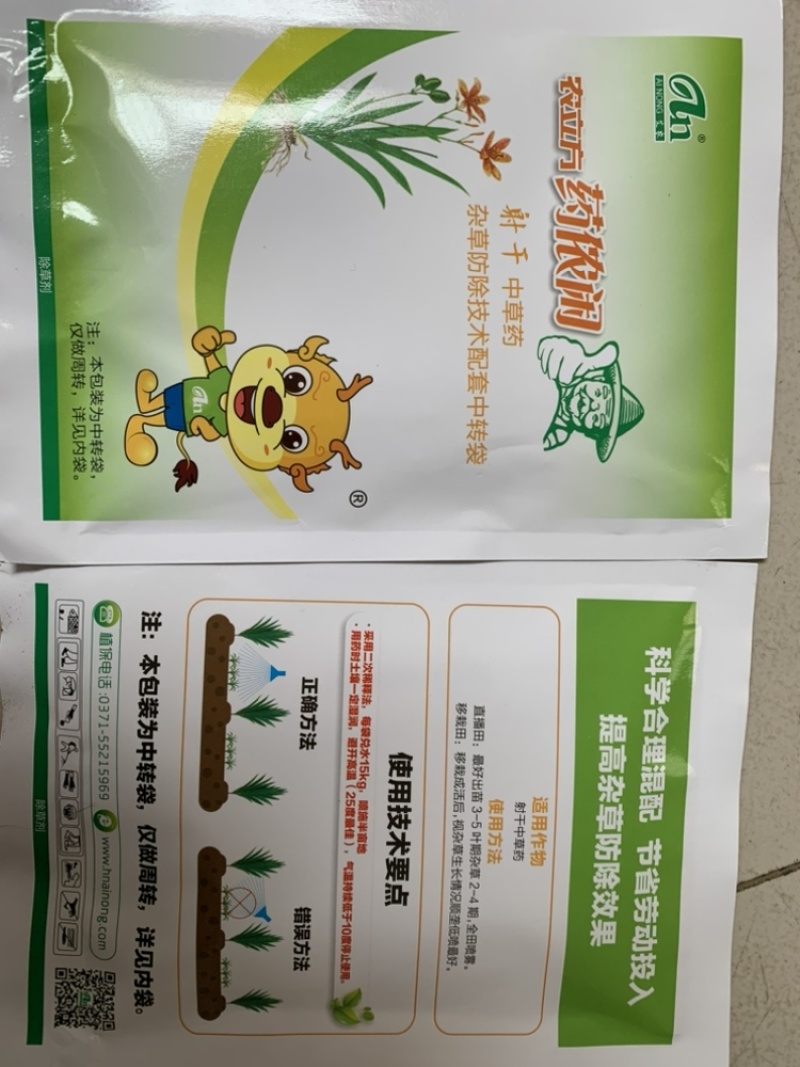 板蓝根种子，品质优良，长期出货，物流方便，欢迎下单