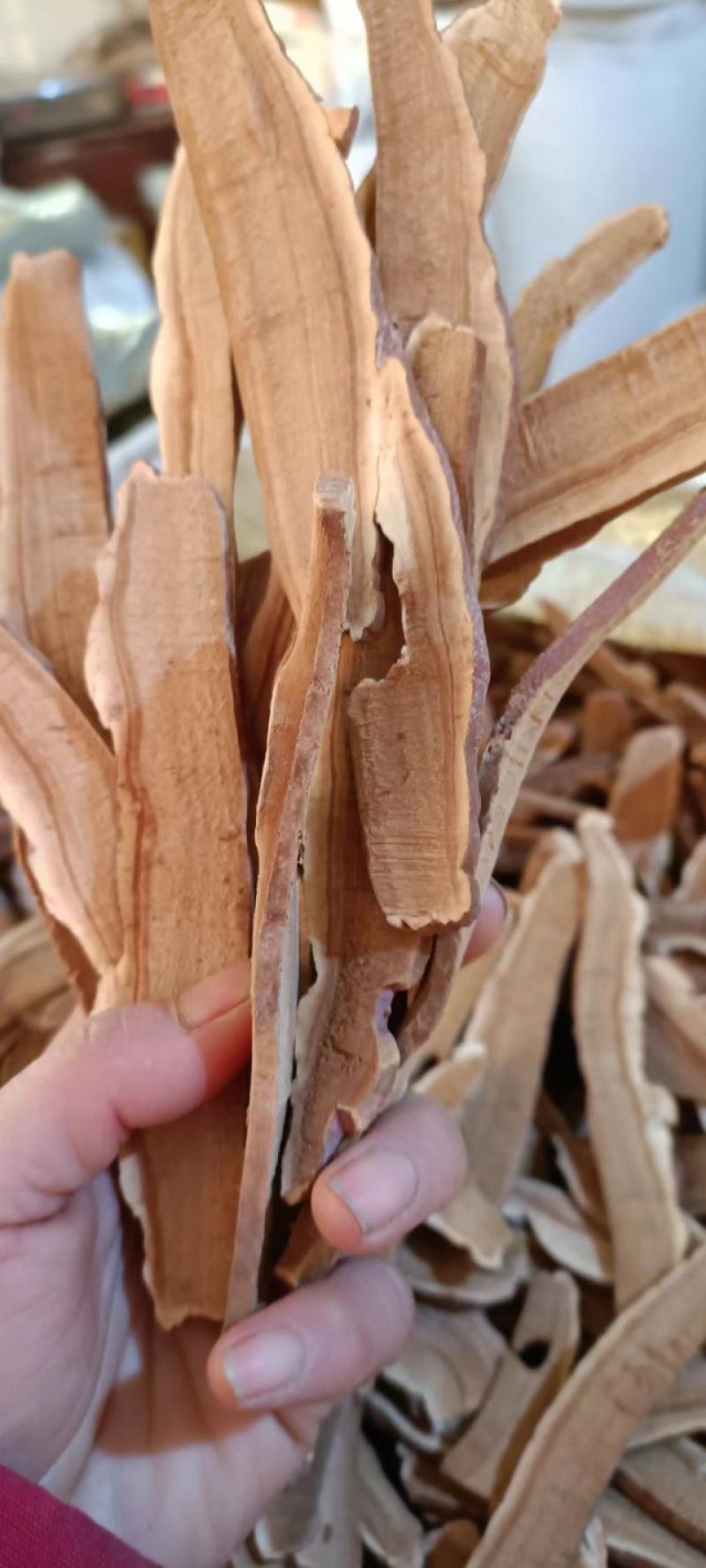灵芝，切片灵芝，规格多样，大小可选，产地直销，大量供应