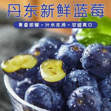 丹东h5蓝莓鲜果甜精品蓝莓大果同城当季新果孕妇水