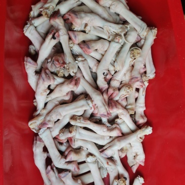 育肥羊蹄，大中小，现货一件50斤袋装
