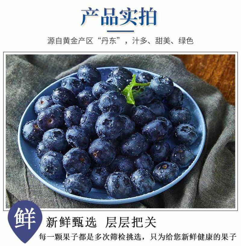 丹东h5蓝莓鲜果甜精品蓝莓大果同城当季新果孕妇水