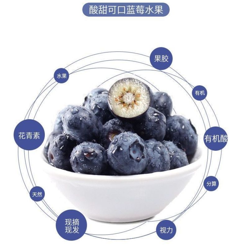 丹东h5蓝莓鲜果甜精品蓝莓大果同城当季新果孕妇水