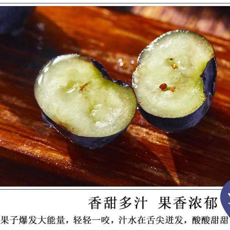 丹东h5蓝莓鲜果甜精品蓝莓大果同城当季新果孕妇水