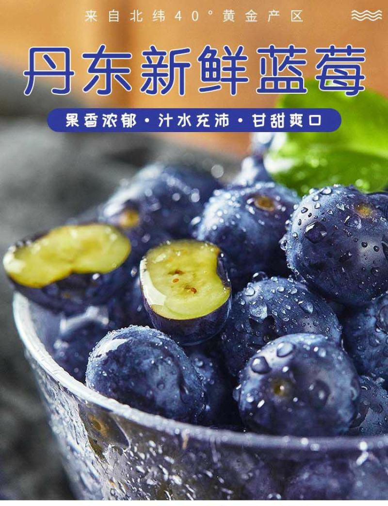丹东h5蓝莓鲜果甜精品蓝莓大果同城当季新果孕妇水