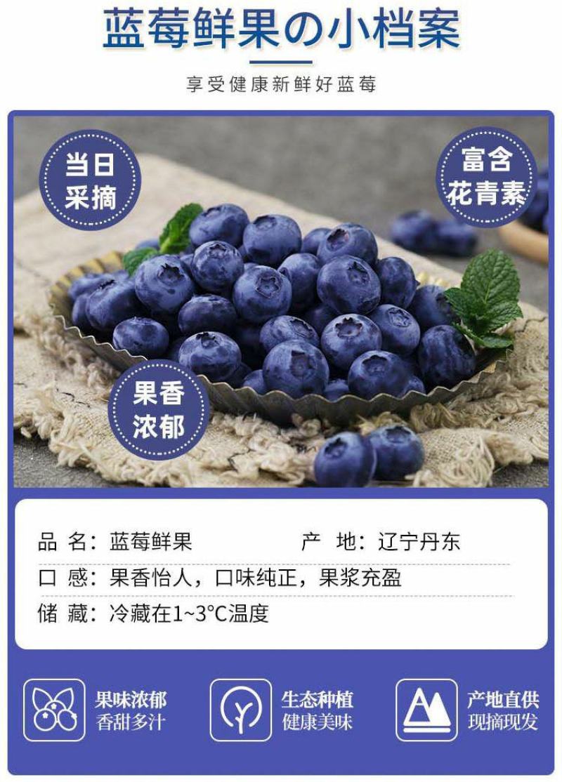 丹东h5蓝莓鲜果甜精品蓝莓大果同城当季新果孕妇水