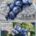 丹东h5蓝莓鲜果甜精品蓝莓大果同城当季新果孕妇水