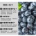 丹东h5蓝莓鲜果甜精品蓝莓大果同城当季新果孕妇水