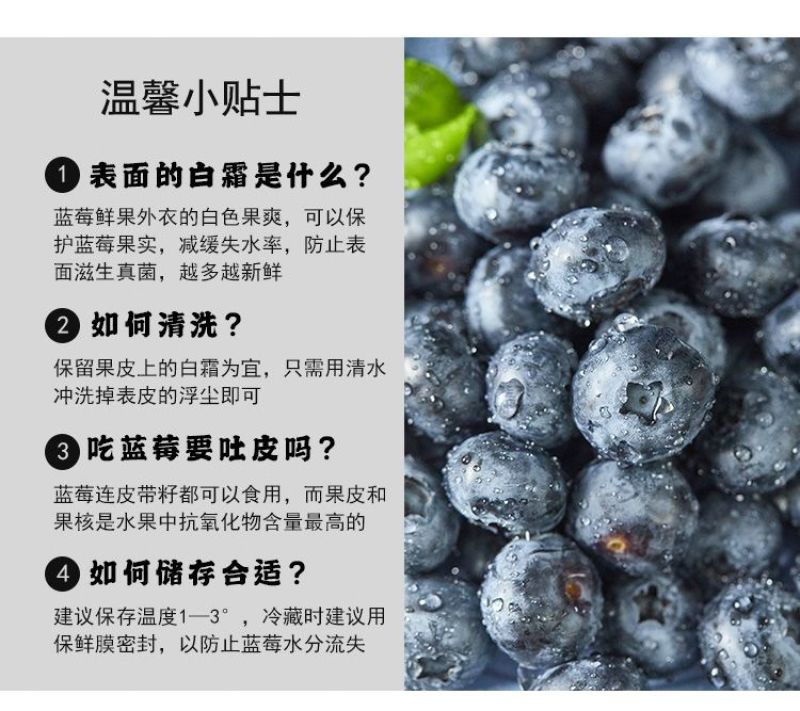 丹东h5蓝莓鲜果甜精品蓝莓大果同城当季新果孕妇水