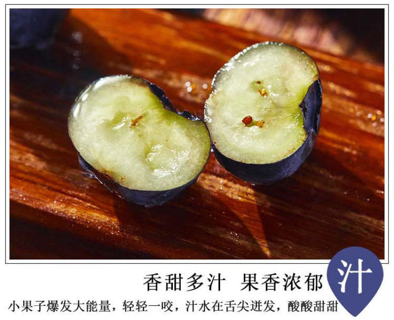 丹东h5蓝莓鲜果甜精品蓝莓大果同城当季新果孕妇水