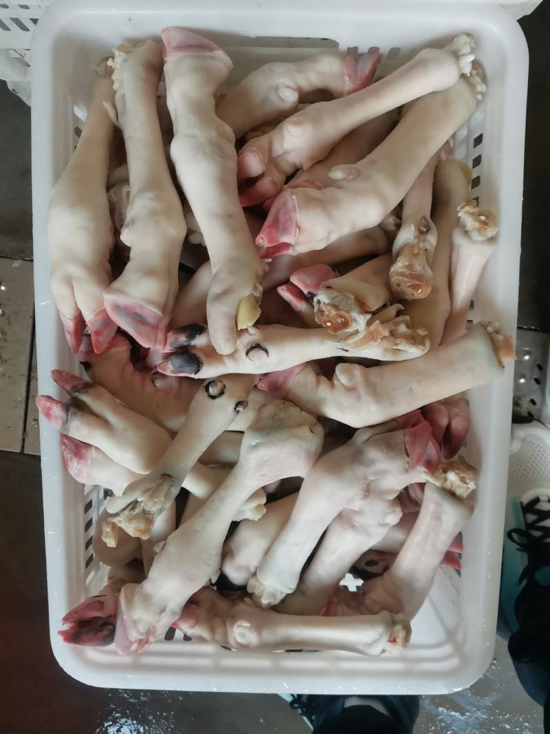 育肥羊蹄，大中小，现货一件50斤袋装