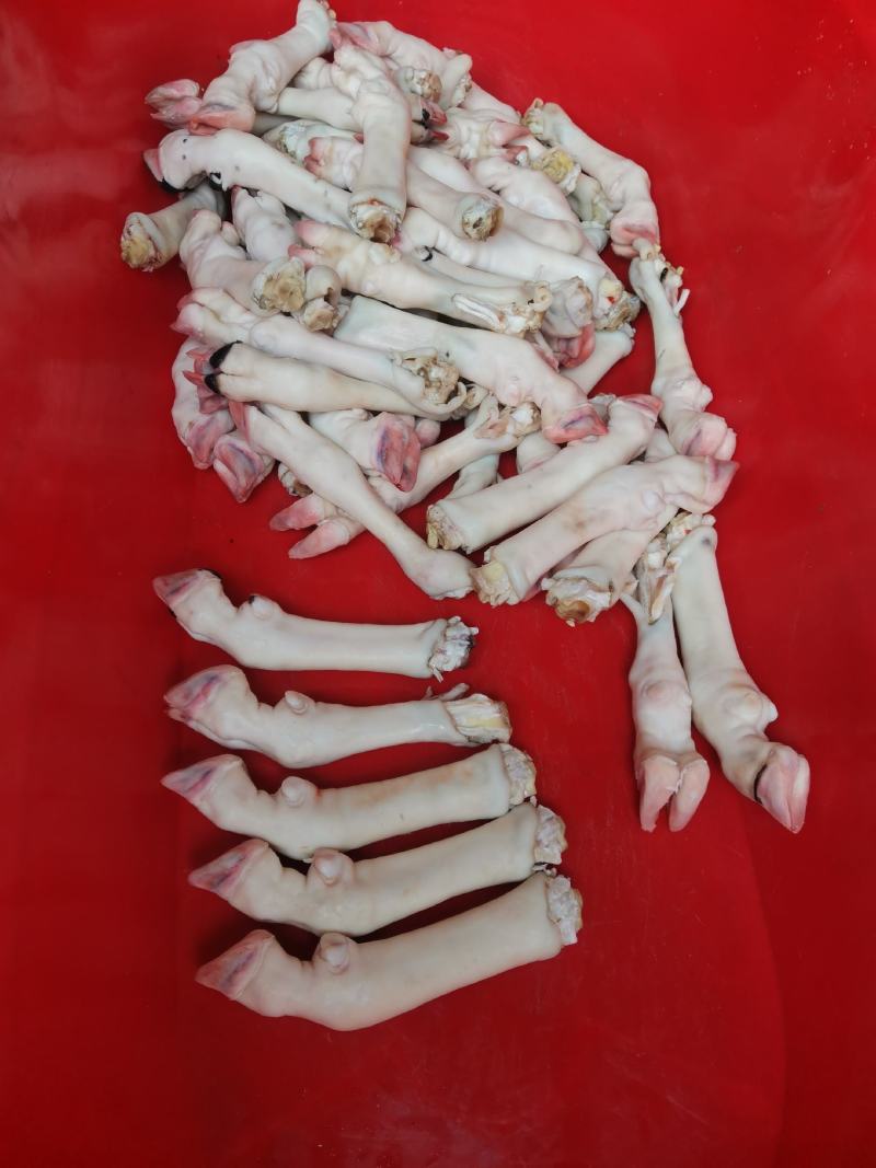 育肥羊蹄，大中小，现货一件50斤袋装