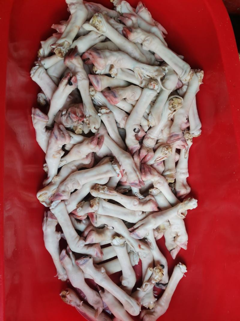 育肥羊蹄，大中小，现货一件50斤袋装