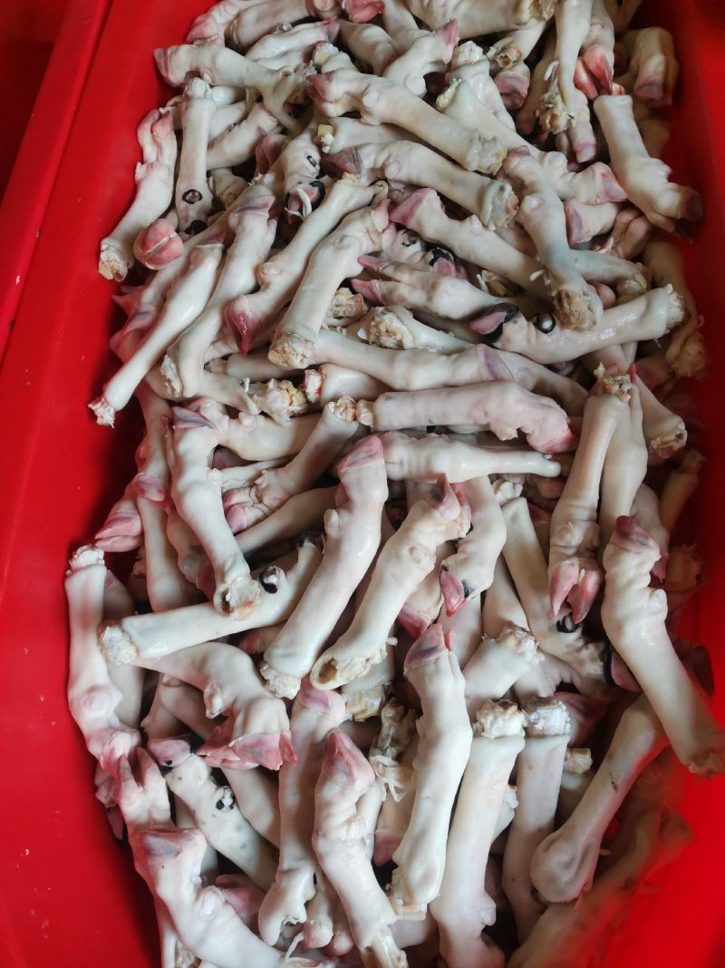育肥羊蹄，大中小，现货一件50斤袋装