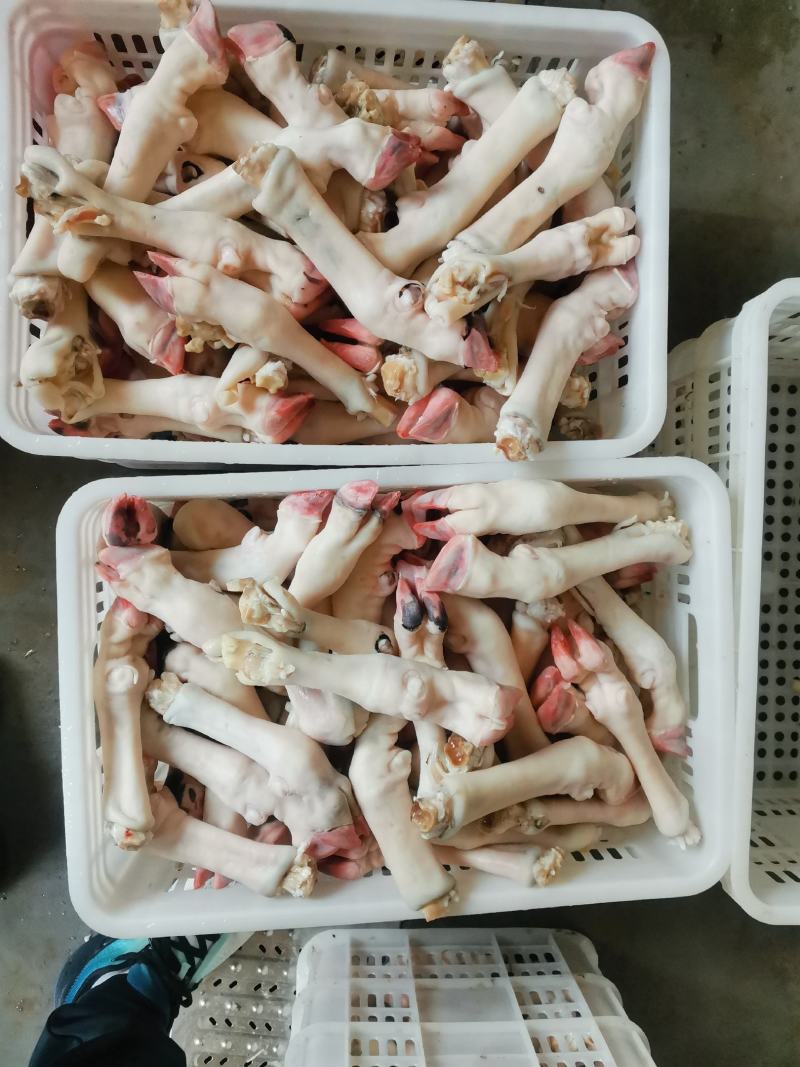 育肥羊蹄，大中小，现货一件50斤袋装