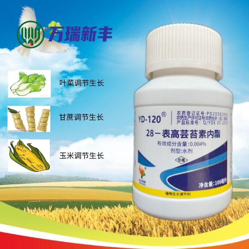 云大12028-表高芸苔素内酯保花保果植物生长调节剂