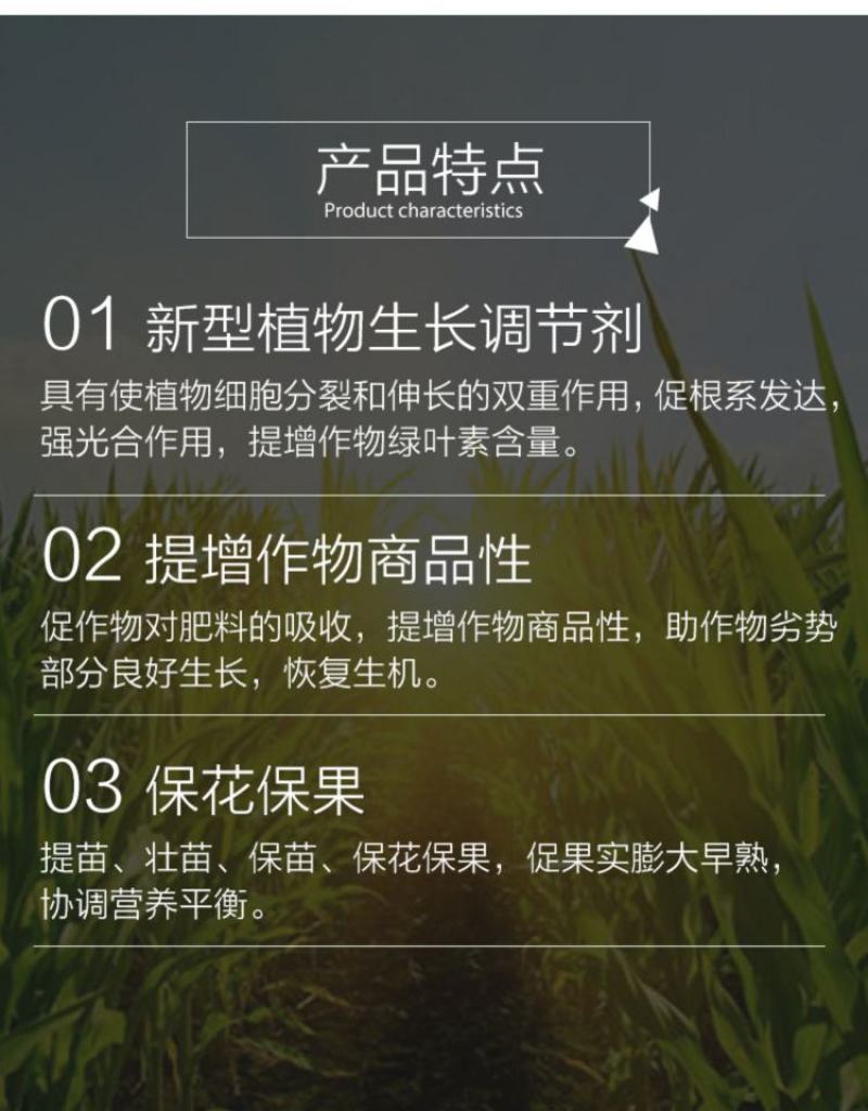 云大12028-表高芸苔素内酯保花保果植物生长调节剂
