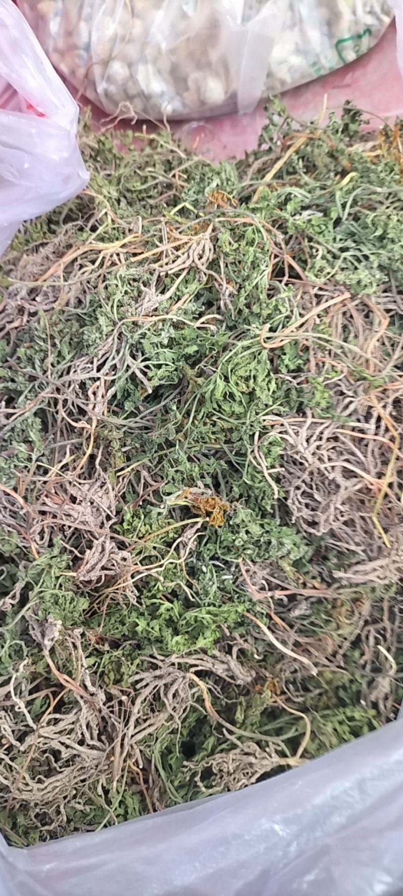 一朵云无杂阴地蕨春不见小根水洗小春花