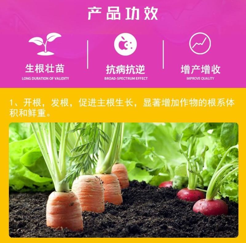 云大农化开根生力生根壮苗剂促进生根花芽分化快速生根