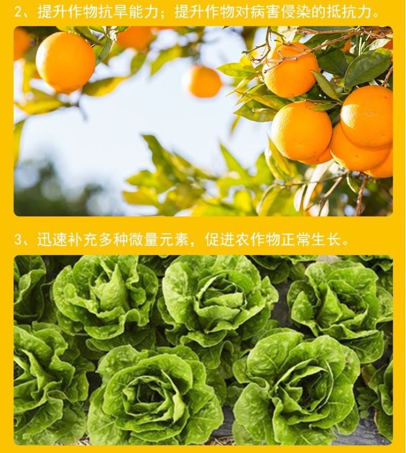 云大农化开根生力生根壮苗剂促进生根花芽分化快速生根