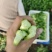 山东曹县油菜