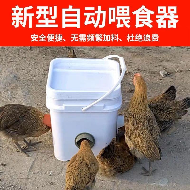 家禽自动喂食器养鸡自动喂食器喂鸡食槽料槽带盖防潮养鸡神器