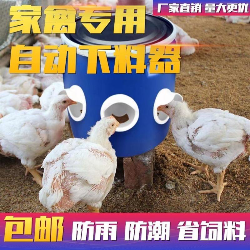 家禽自动喂食器养鸡自动喂食器喂鸡食槽料槽带盖防潮养鸡神器