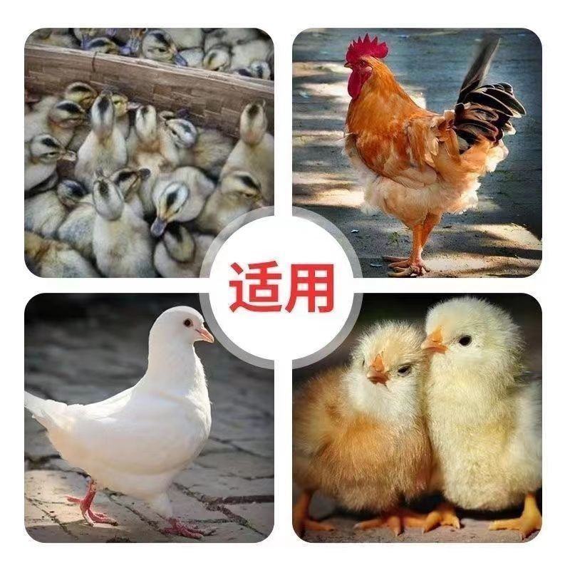 家禽自动喂食器养鸡自动喂食器喂鸡食槽料槽带盖防潮养鸡神器