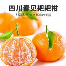 四川春见耙耙柑新鲜水果当季整箱橘子杷杷粑粑柑蜜桔子批发