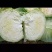 贵州蔬菜批发，质量保证，价格从优。