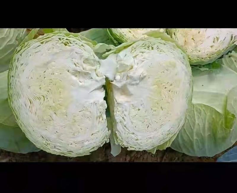 贵州蔬菜批发，质量保证，价格从优。