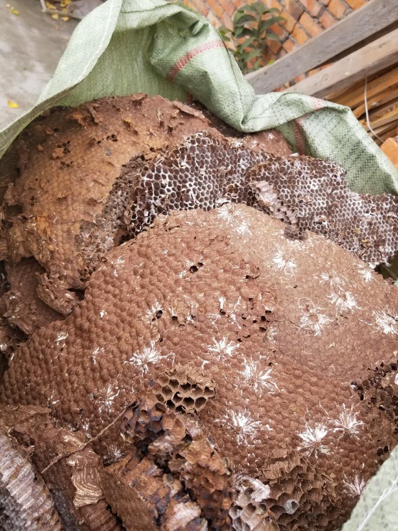 【山蜂房】【露蜂房】产地直销【正品保证】【蜂巢】