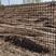 【小孔】黑色塑料养殖网，围栏网，格栅网，玉米圈网防鸟网