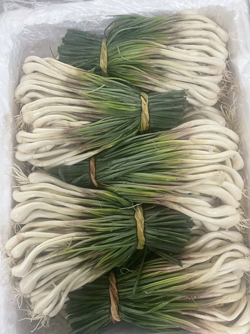 精品藠头