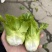 儿菜